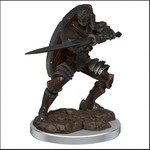 Premium Figure D&D | Warforged Fighter Male | 93060