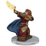 Premium Figure D&D | Dwarf Wizard Female | 93056