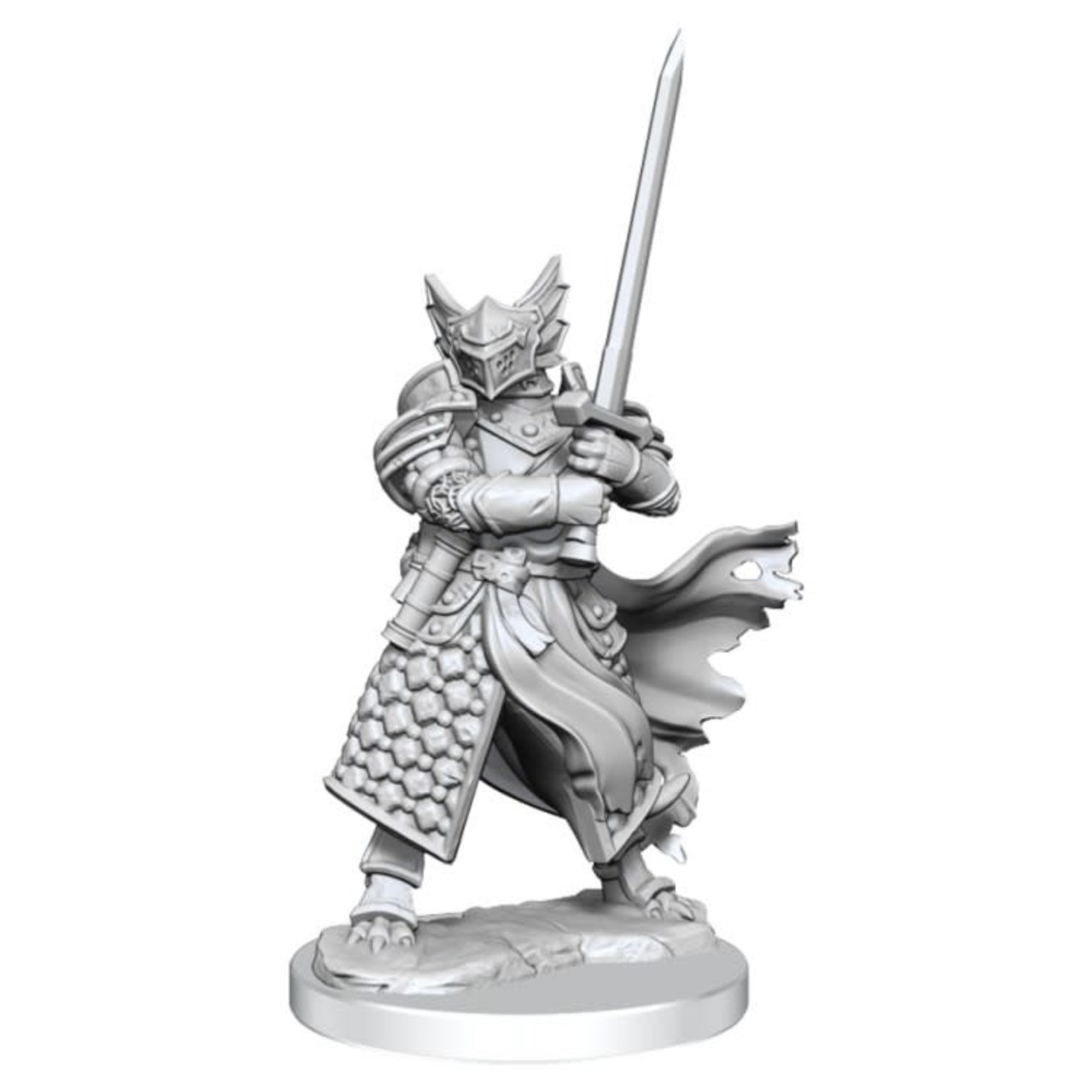D&D: Frameworks: Dragonborn Paladin Male W1