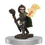 Premium Figure PF | Gnome Druid Male | 77516