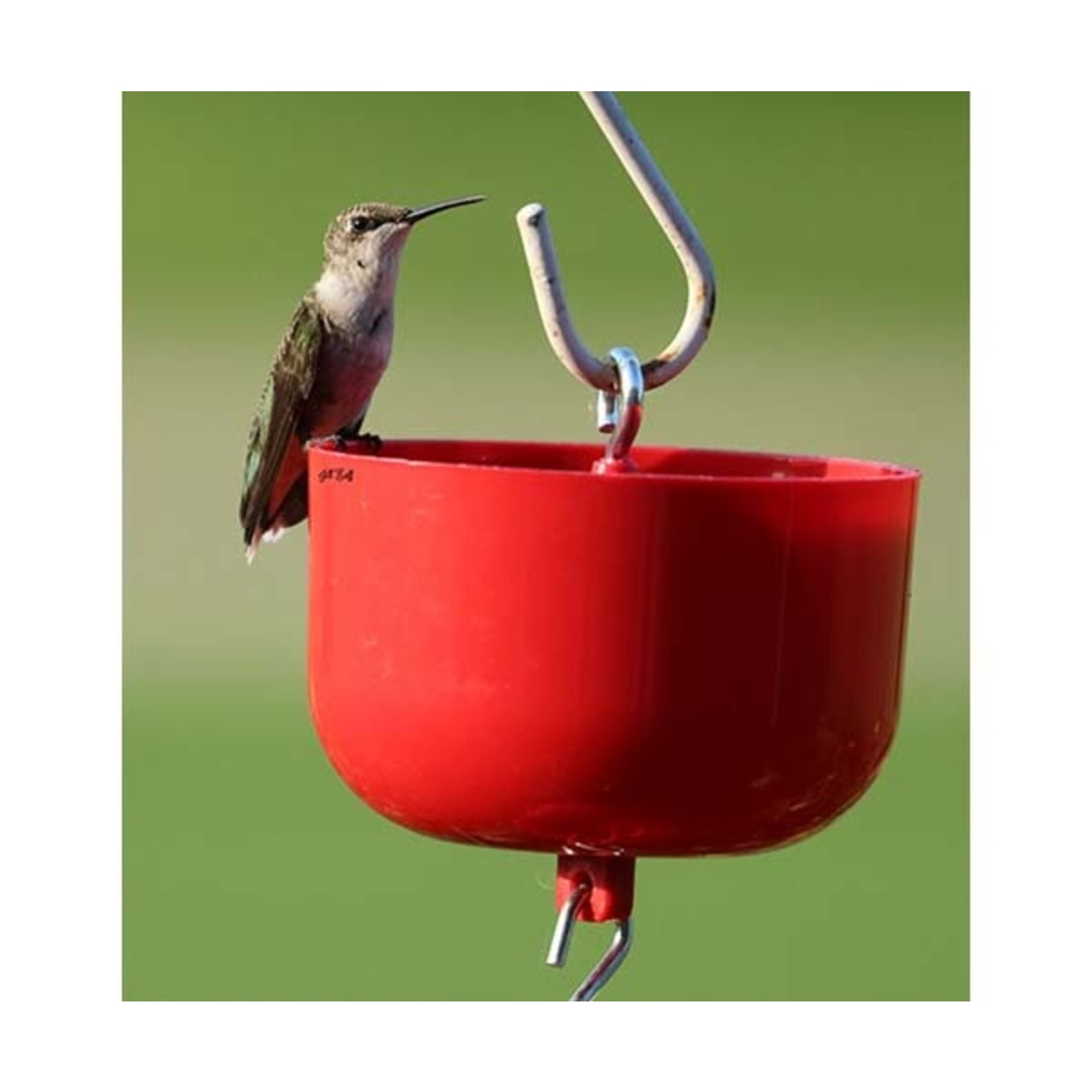 Ant Moat Nectar Protector Jr - Red 9oz