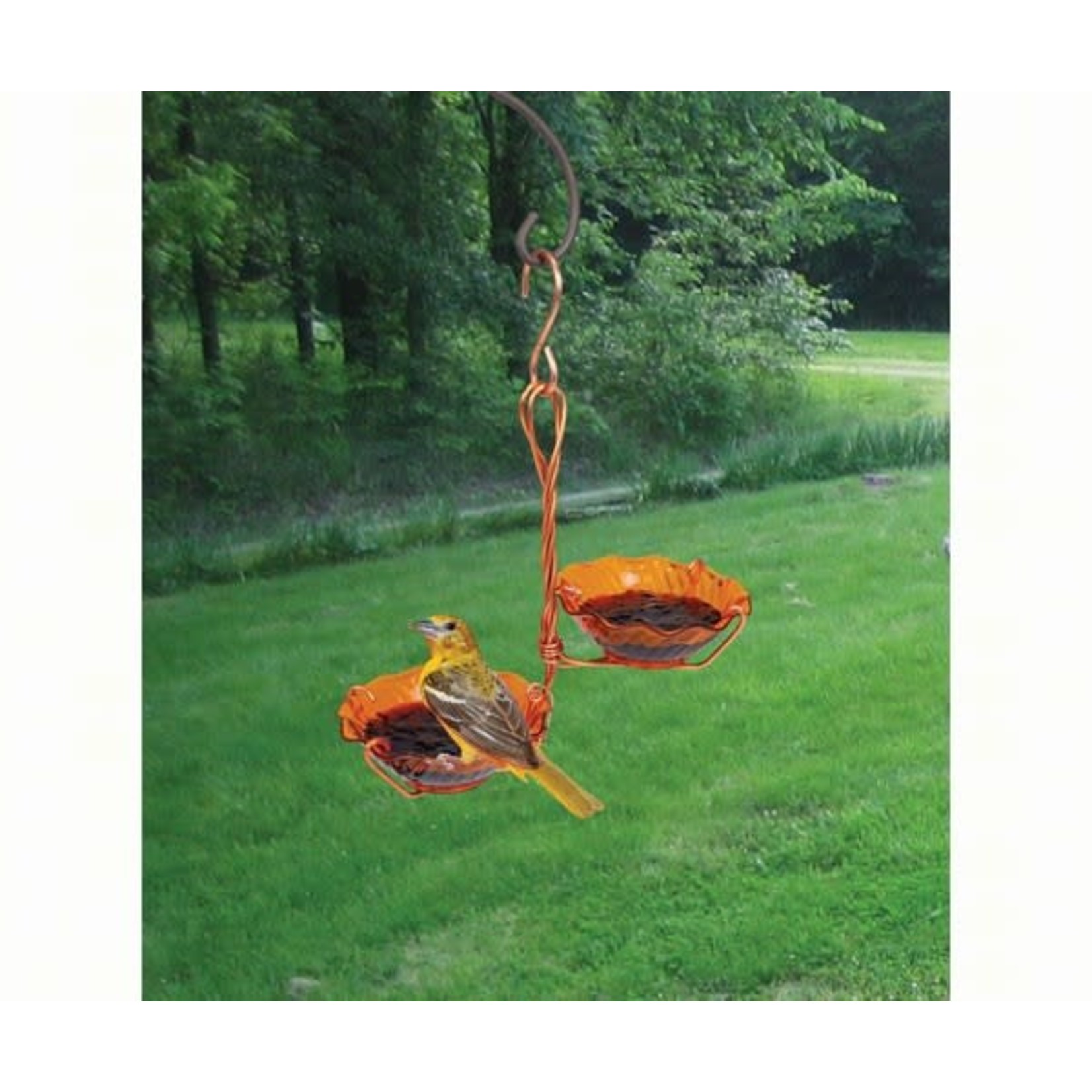 Oriole Jelly Feeder Double Cup