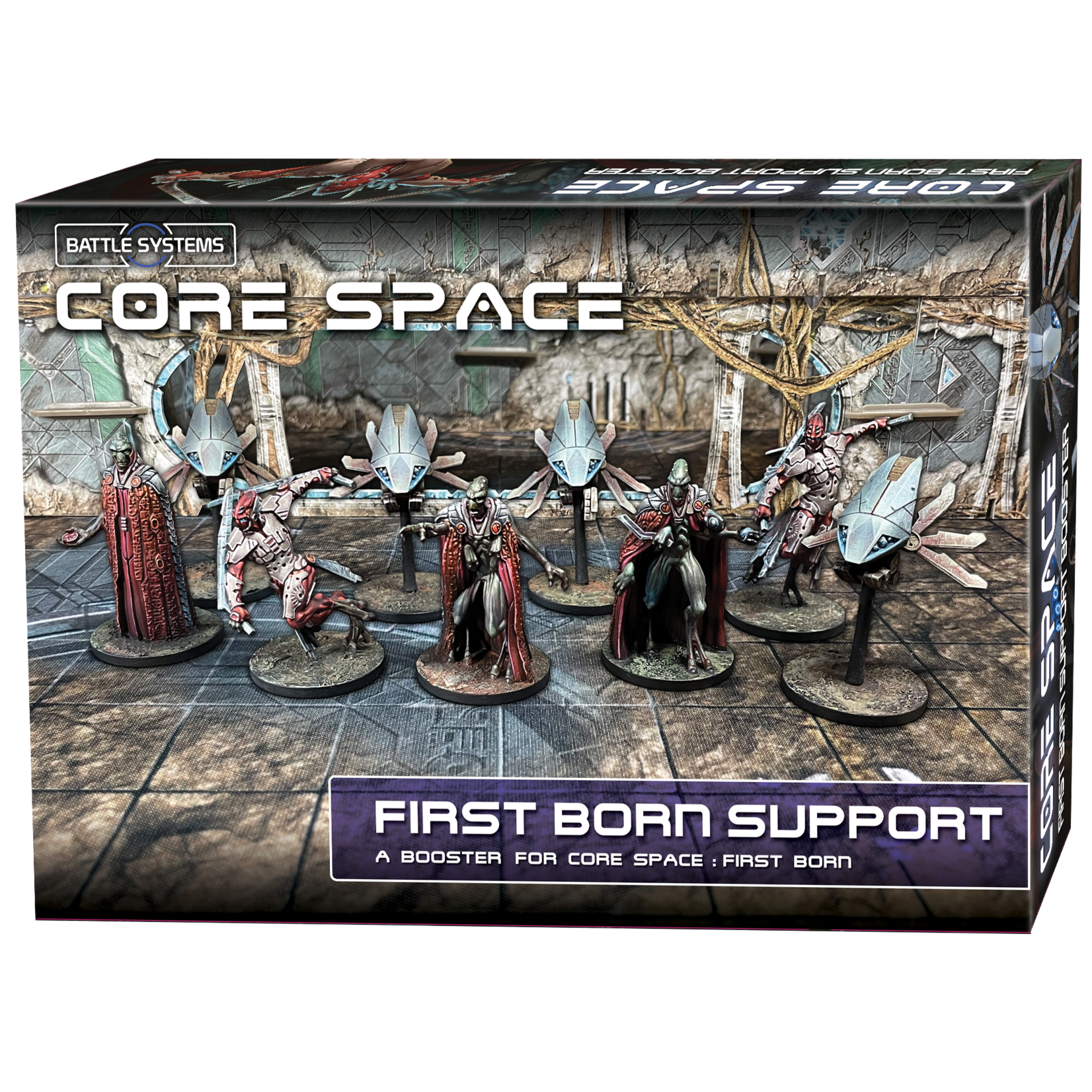 Core Space: First Born Support