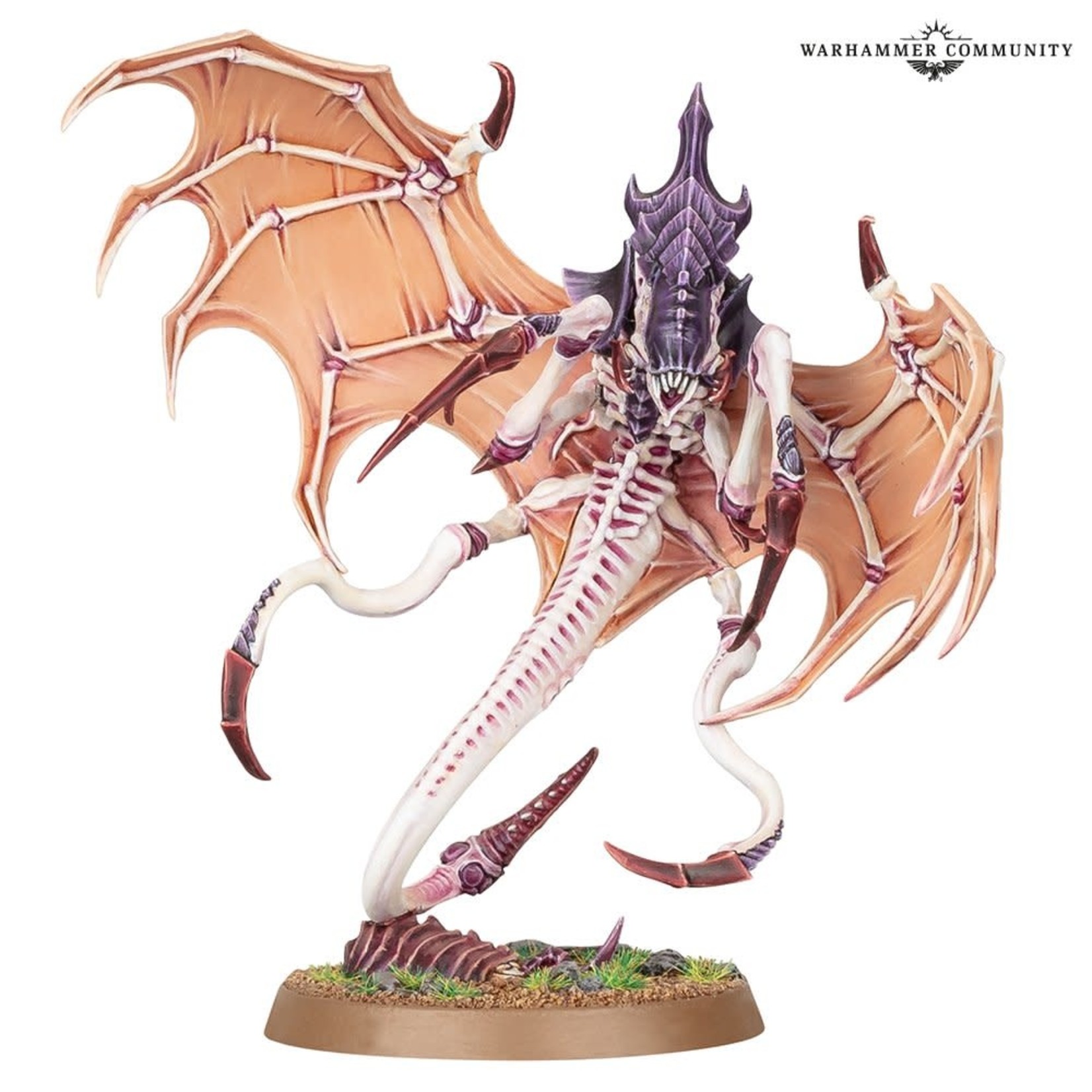 40K: Tyranids: Parasite of Mortrex