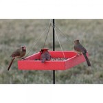 Hanging Tray Feeder - Red