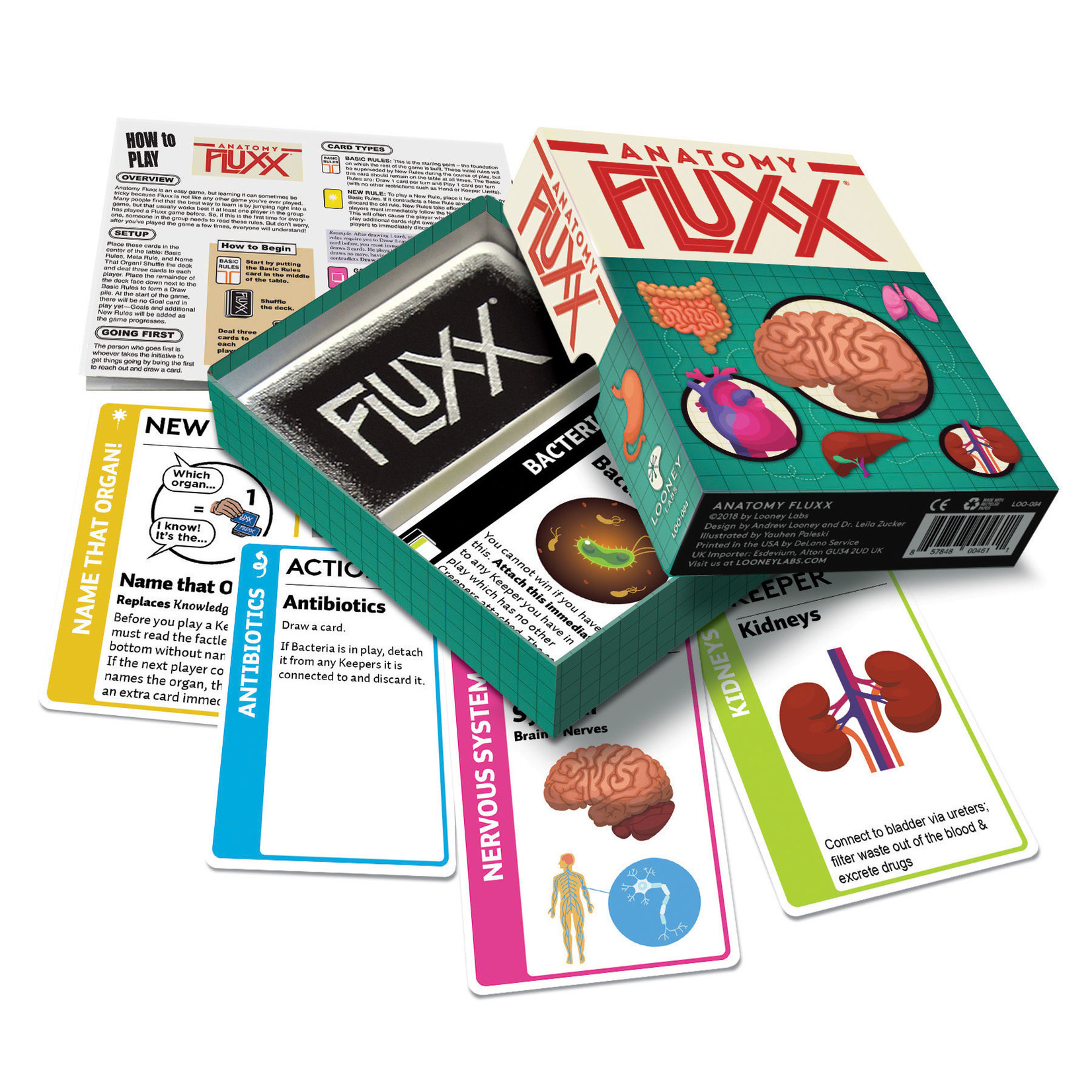 Fluxx: Anatomy Fluxx