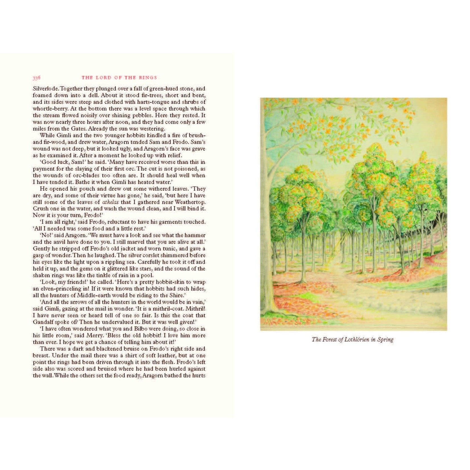 The Lord of the Rings - Deluxe Illustrated by the Author