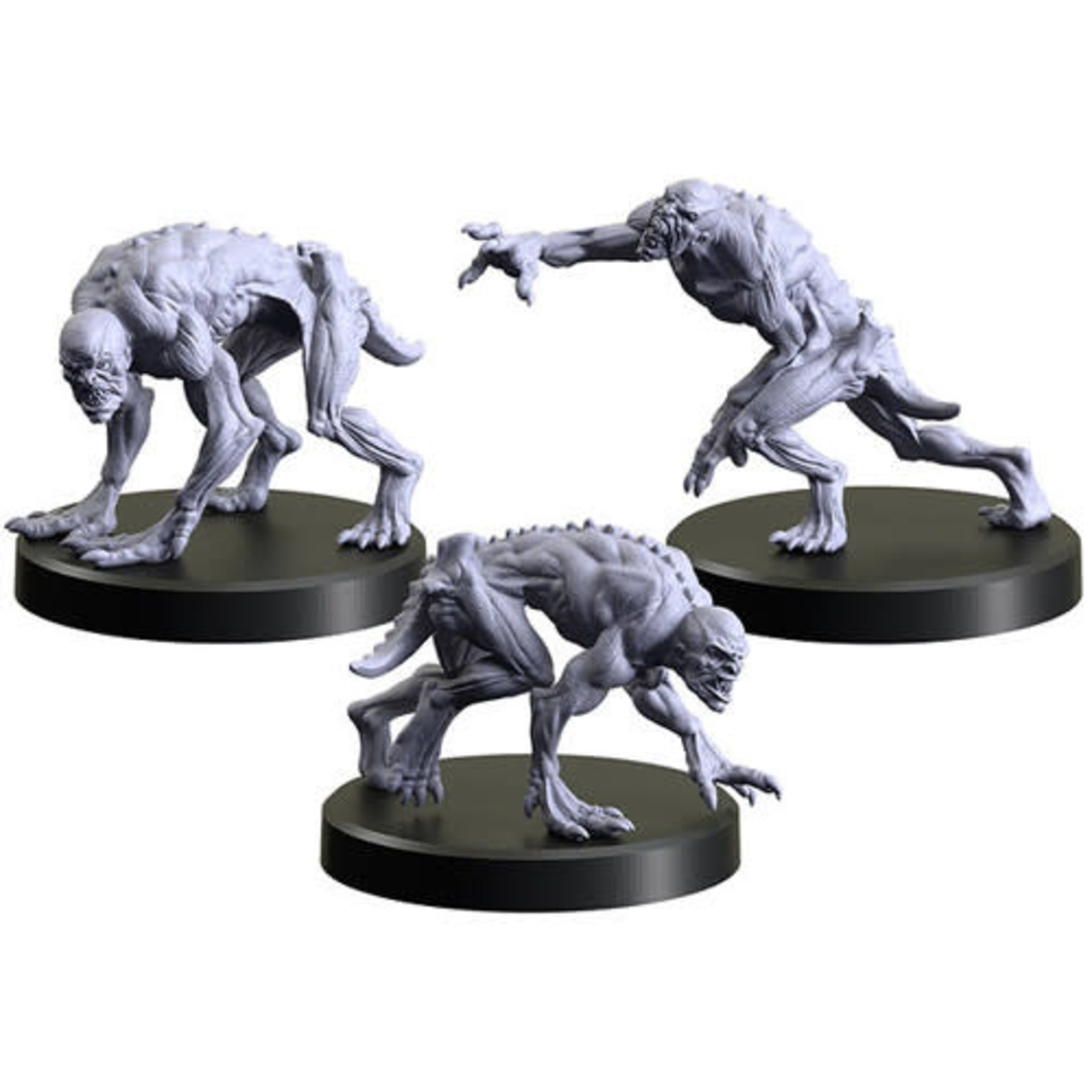 The Witcher RPG Miniatures: Necrophages 2 - Ghouls