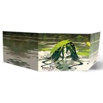 Vaesen Nordic Horror RPG: GM Screen & Map