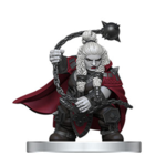 Painted Mini Single: Dwarf Fighter Basra Ashlord - D&D Onslaught