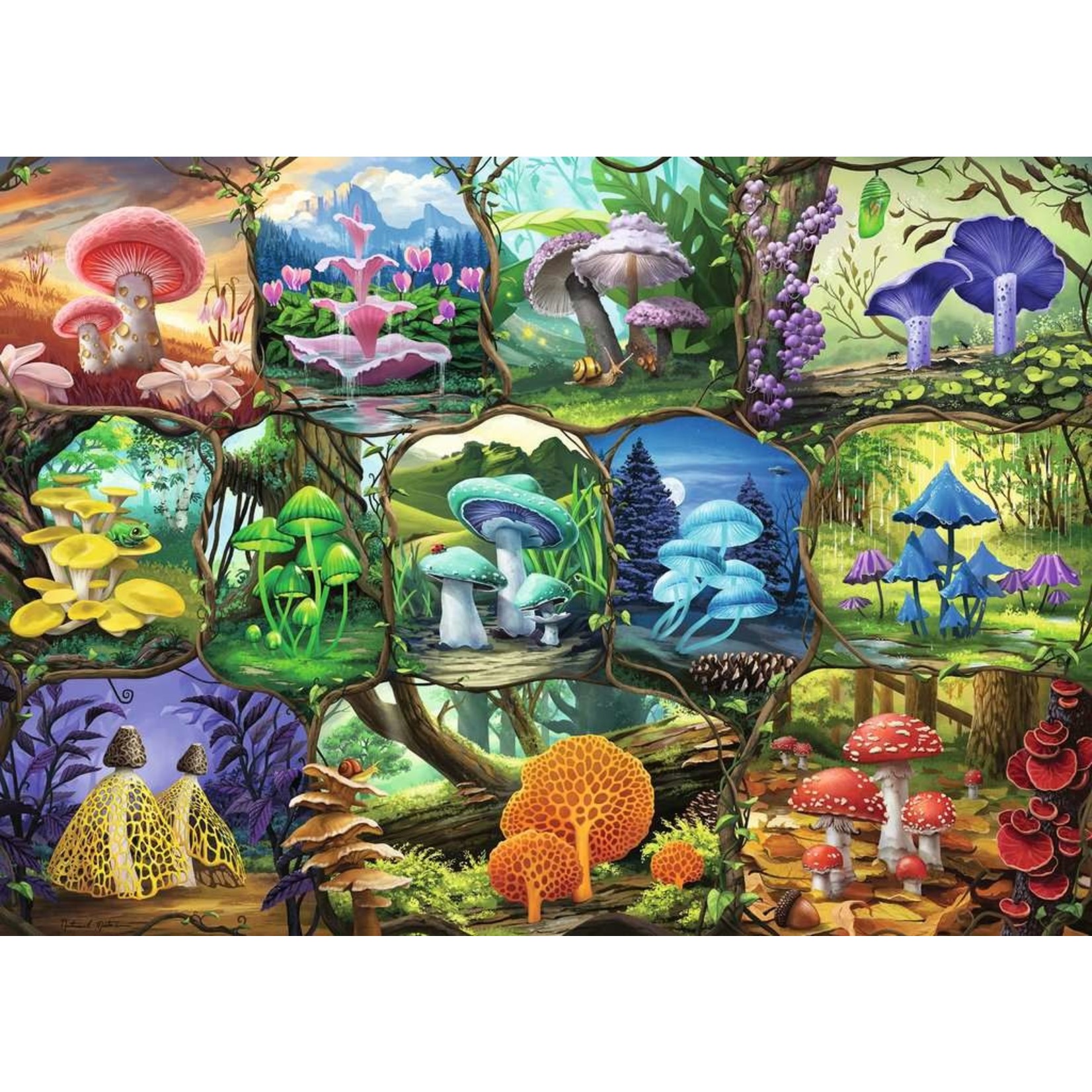 Beautiful Mushrooms 1000 Piece Puzzle