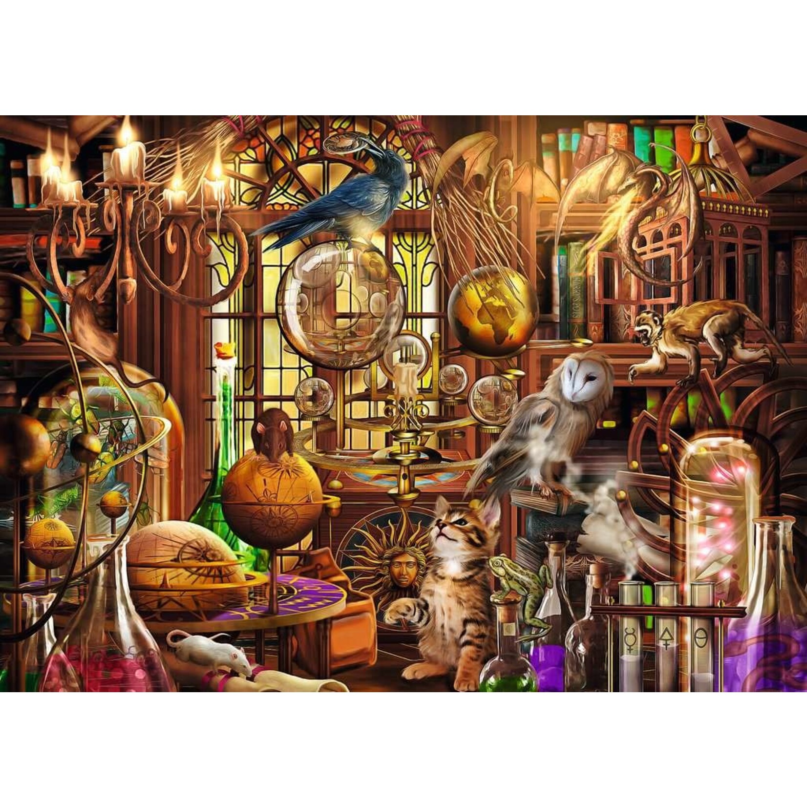 Merlin's Laboratory 1000 Piece Puzzle