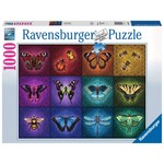 Winged Things 1000 Piece Puzzle