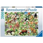 Jungle 2000 Piece Puzzle