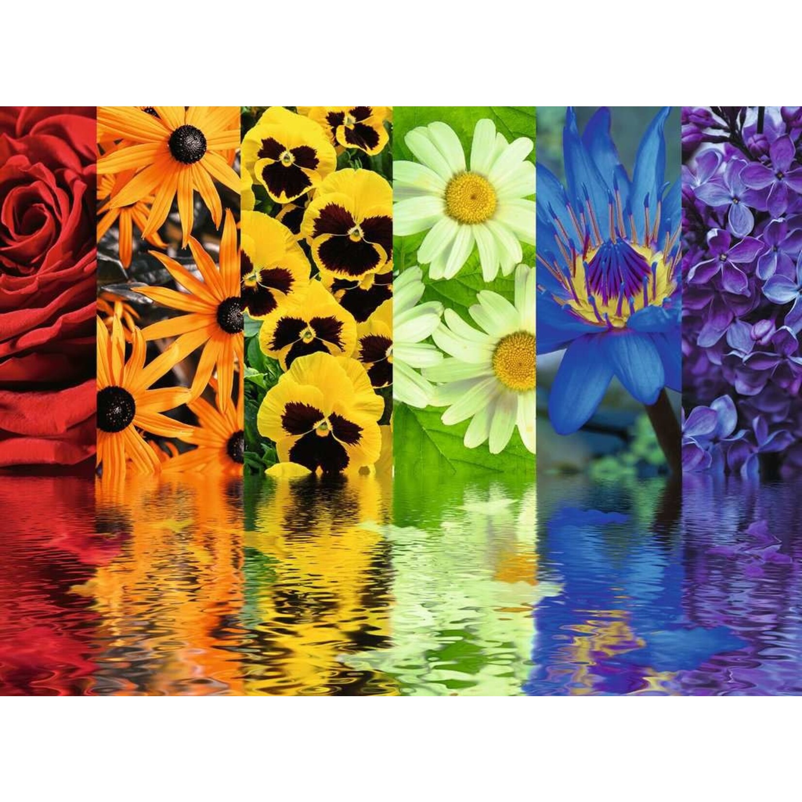 Floral Reflections 500 Piece Large Format Puzzle