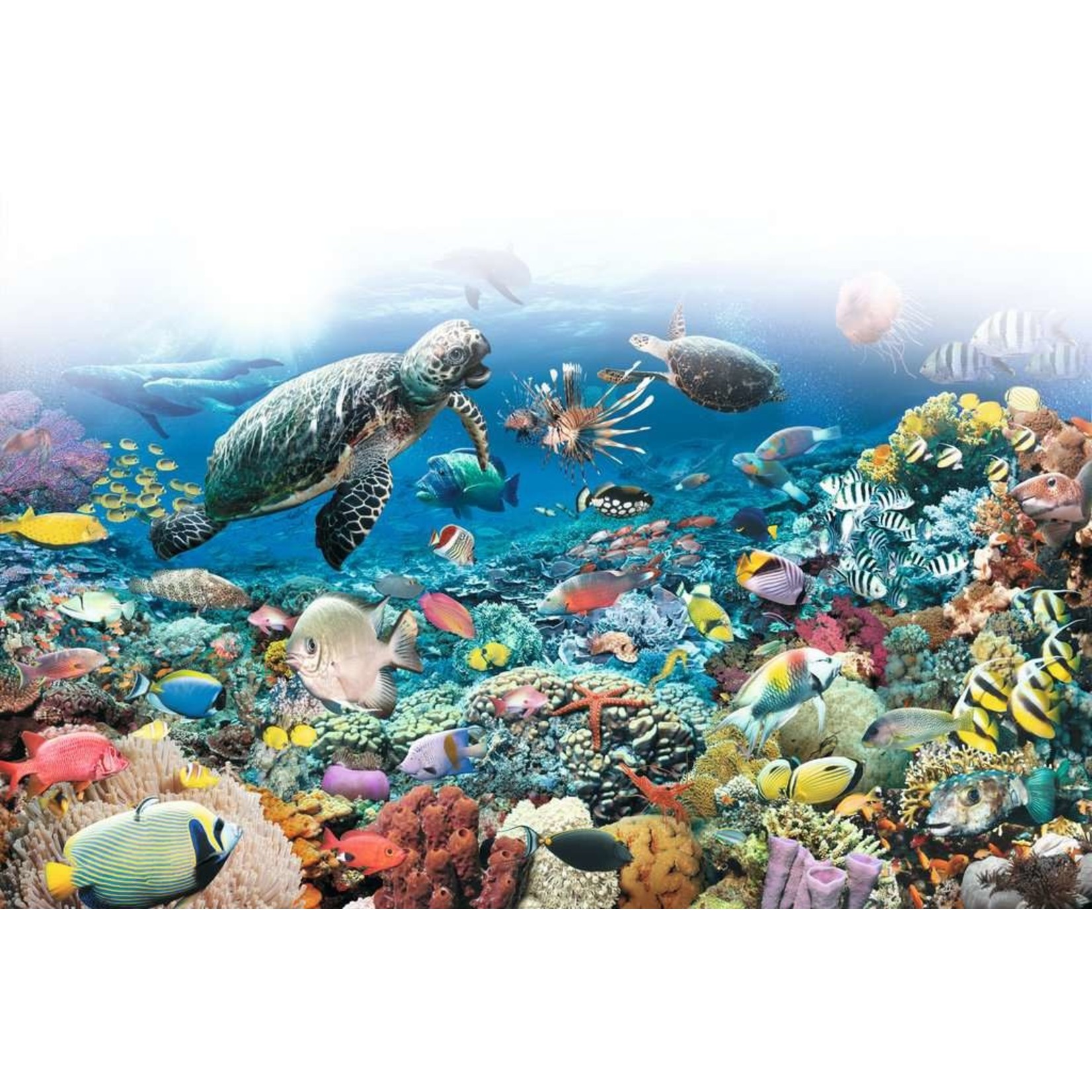 Beneath the Sea 5000 Piece Puzzle