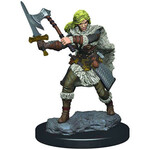 Premium Figure D&D | Human Barbarian Female | 93020