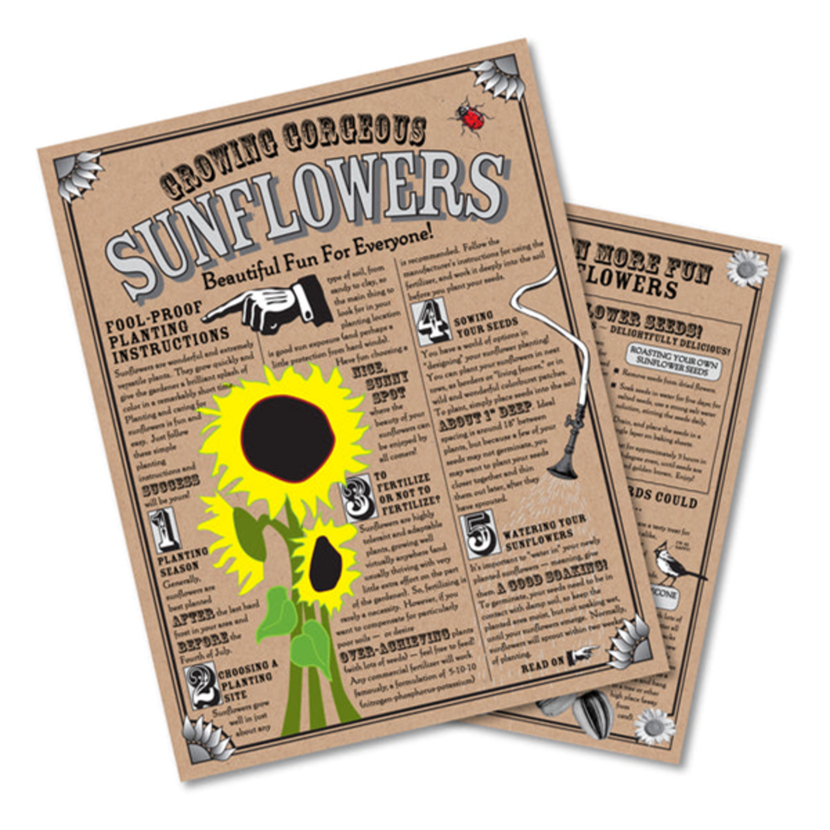 Sunflower | Flower Seed Grow Kit