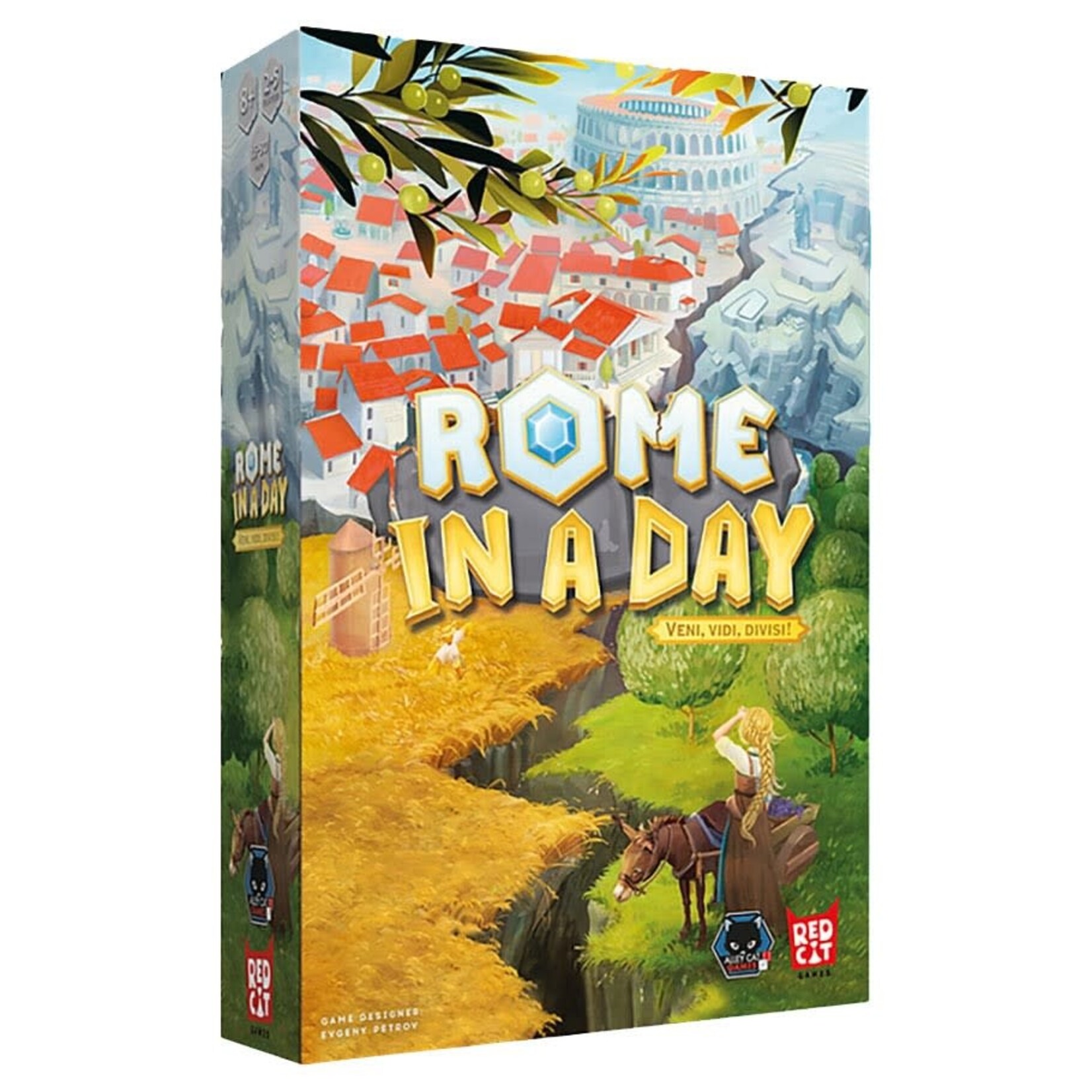 Rome in a Day
