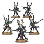 40K: Drukhari - Incubi