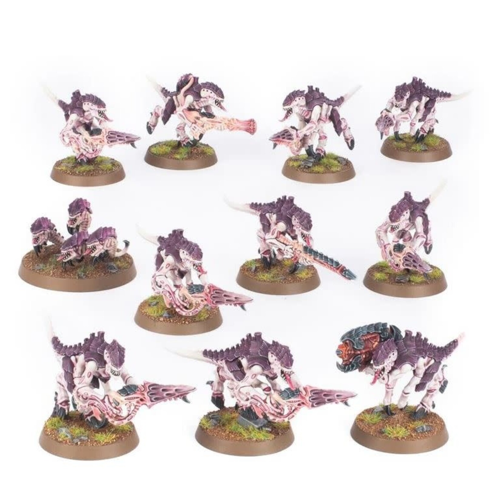 40K: Tyranids - Termagants