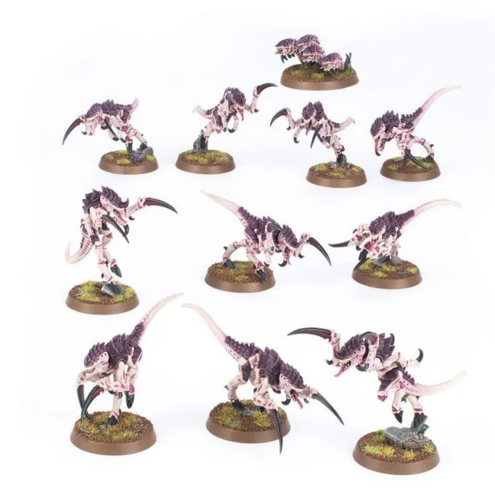 40K: Tyranids - Hormagaunts