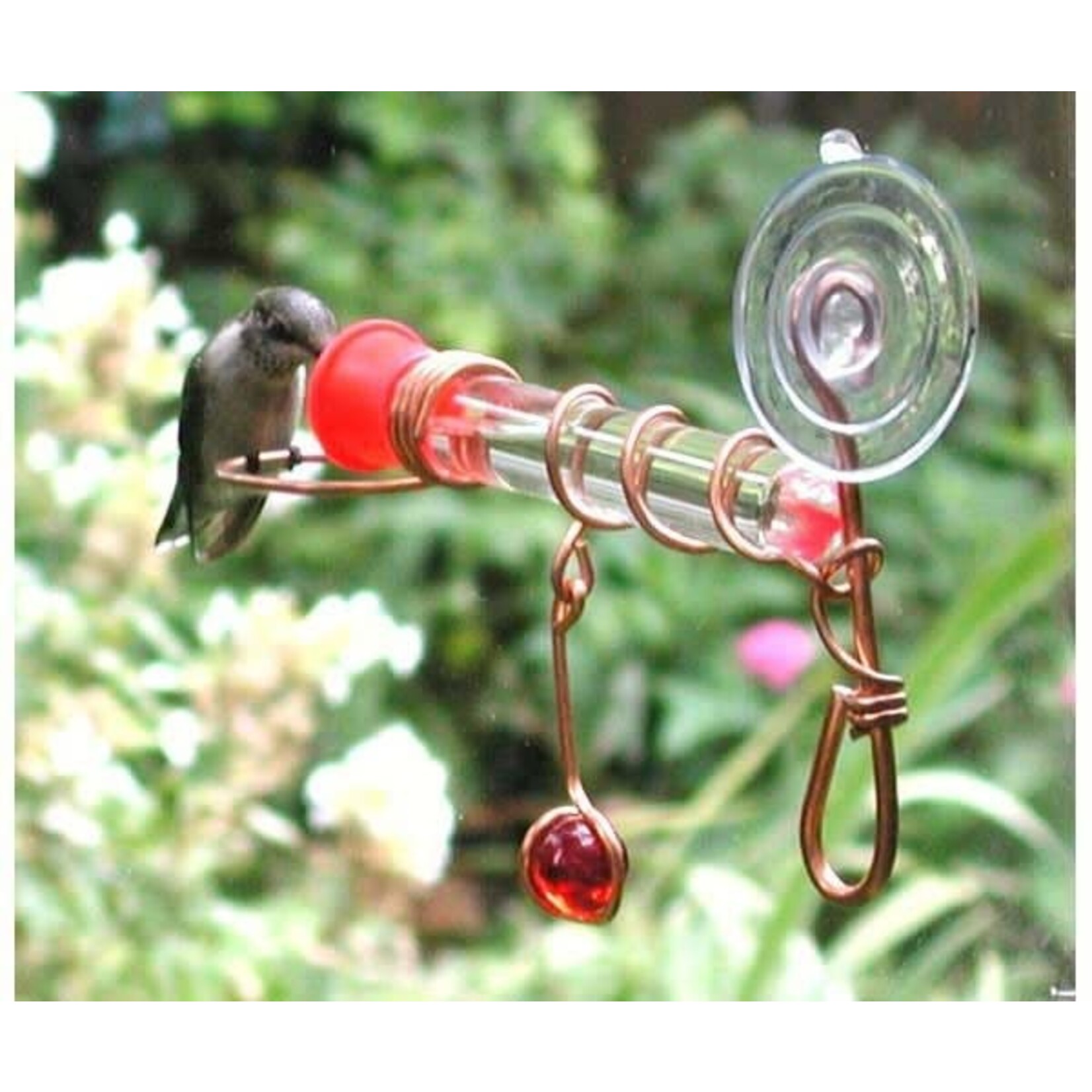Window One Tube Hummingbird Feeder