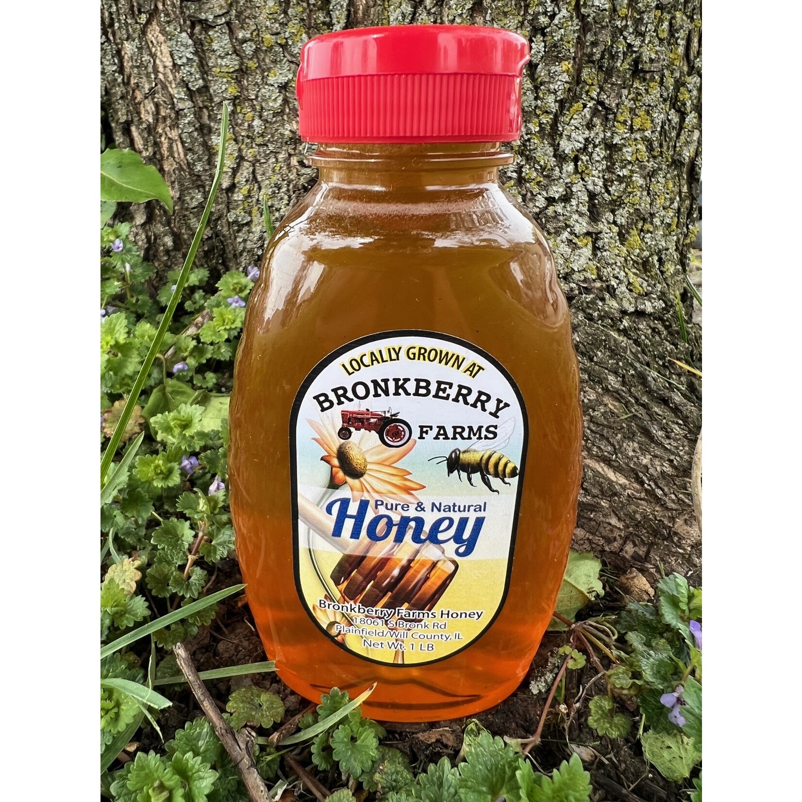 Bronkberry Farms Honey 16oz