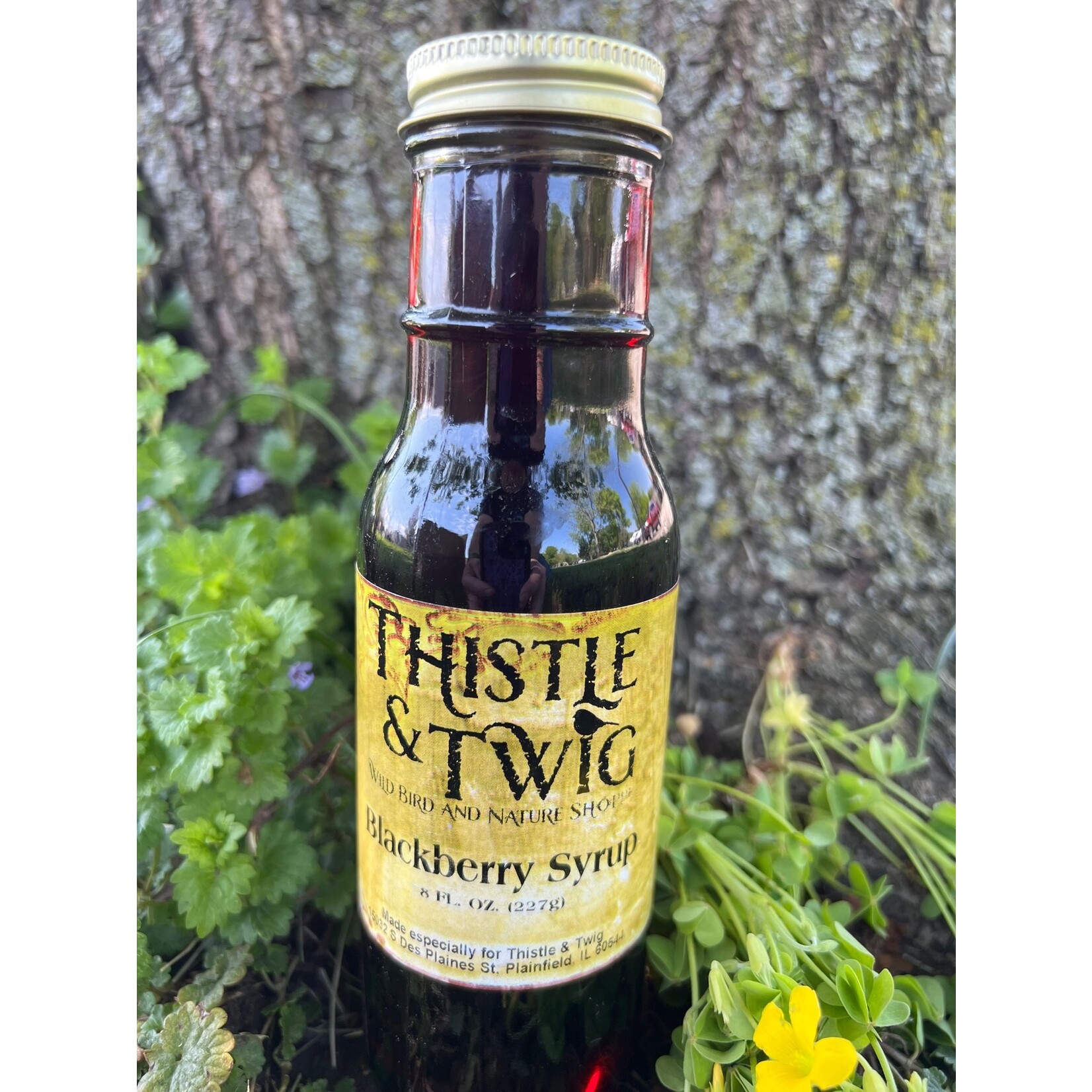 Syrup: Blackberry 8oz