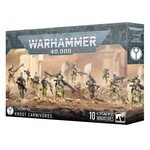 40K: T'au Empire - Kroot Carnivores