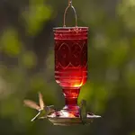 Jewel Red Bottle Hummingbird Feeder 20oz