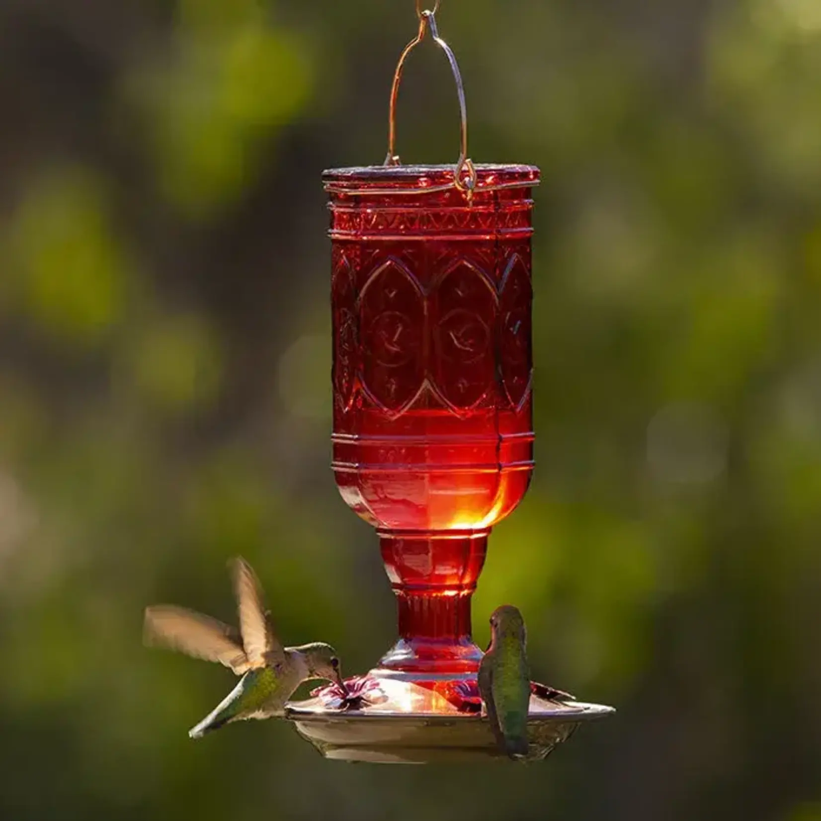 Jewel Red Bottle Hummingbird Feeder 20oz