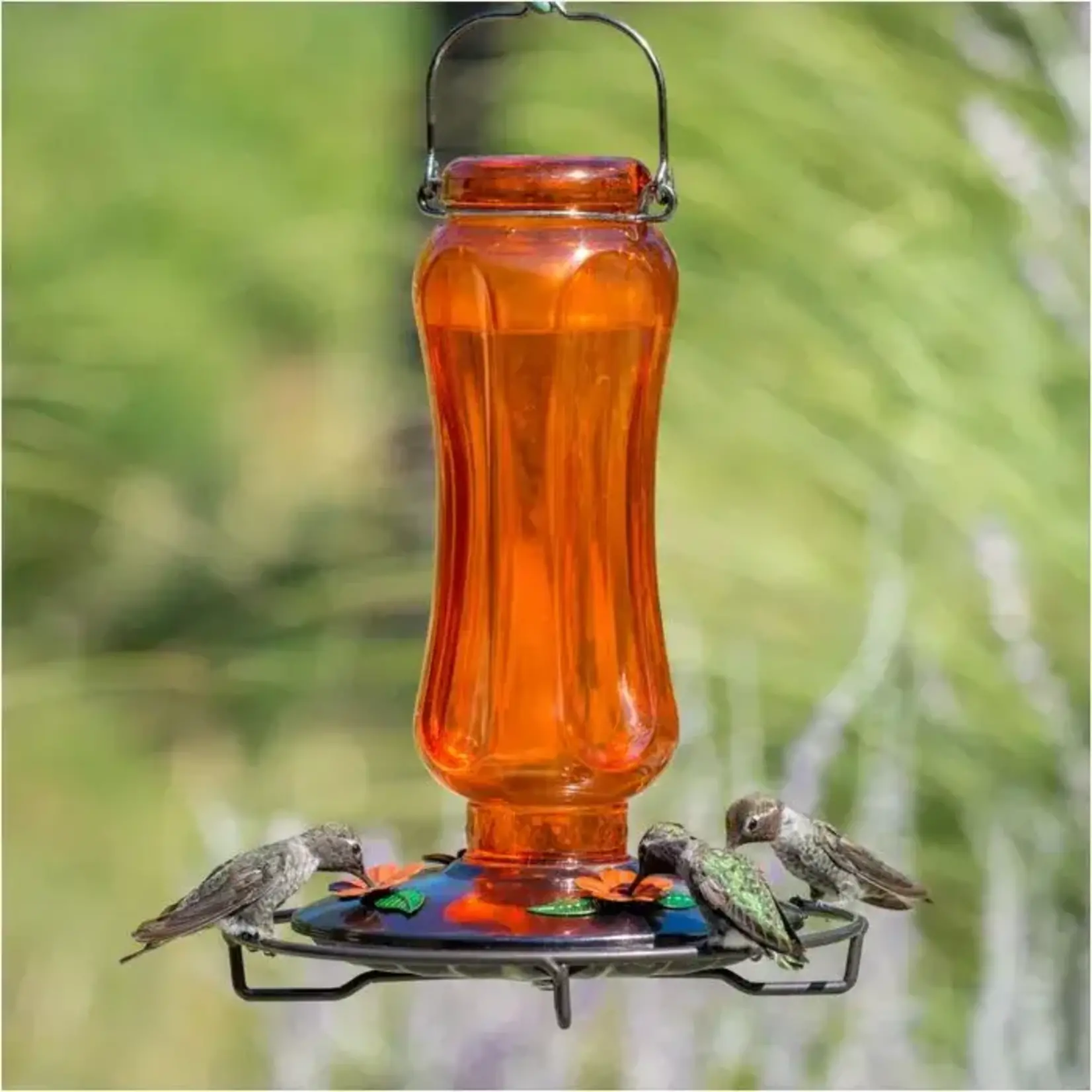 Vintage Oriole Nectar Feeder