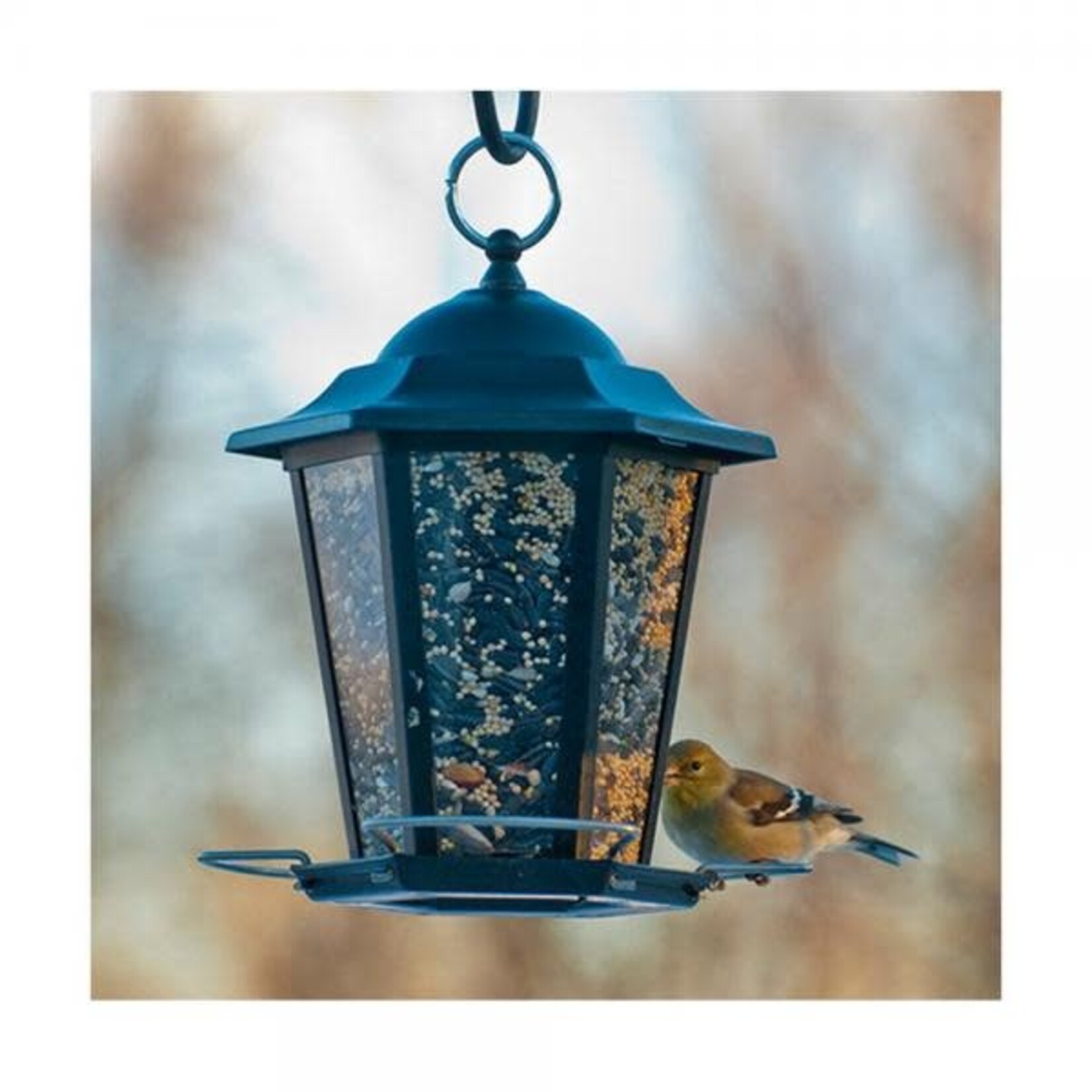 Audubon Black Carriage Lantern Feeder