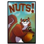 #19126 Nuts! Dragon Cache Used Game