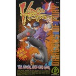 #19291 Video Fighter: Dragons of Fury Dragon Cache Used Game