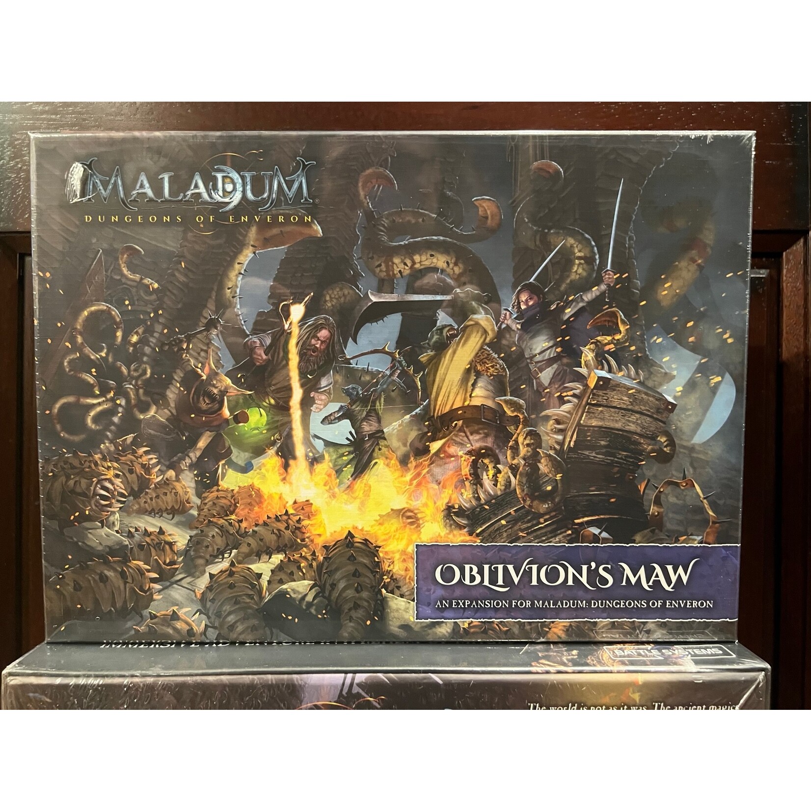 Maladum: Dungeons of Enveron LE Bundle (All Sales Final) Battle Systems