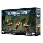 40K: Blood Angels - Sanguinary Guard