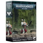 40K: Blood Angels - Sanguinary Priest