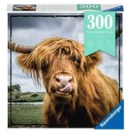 Puzzle Moments: Highland Cattle 300 Piece Puzzle