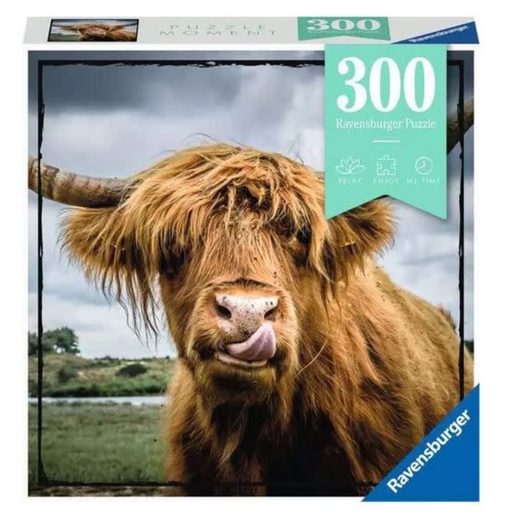 Puzzle Moments: Highland Cattle 300 Piece Puzzle