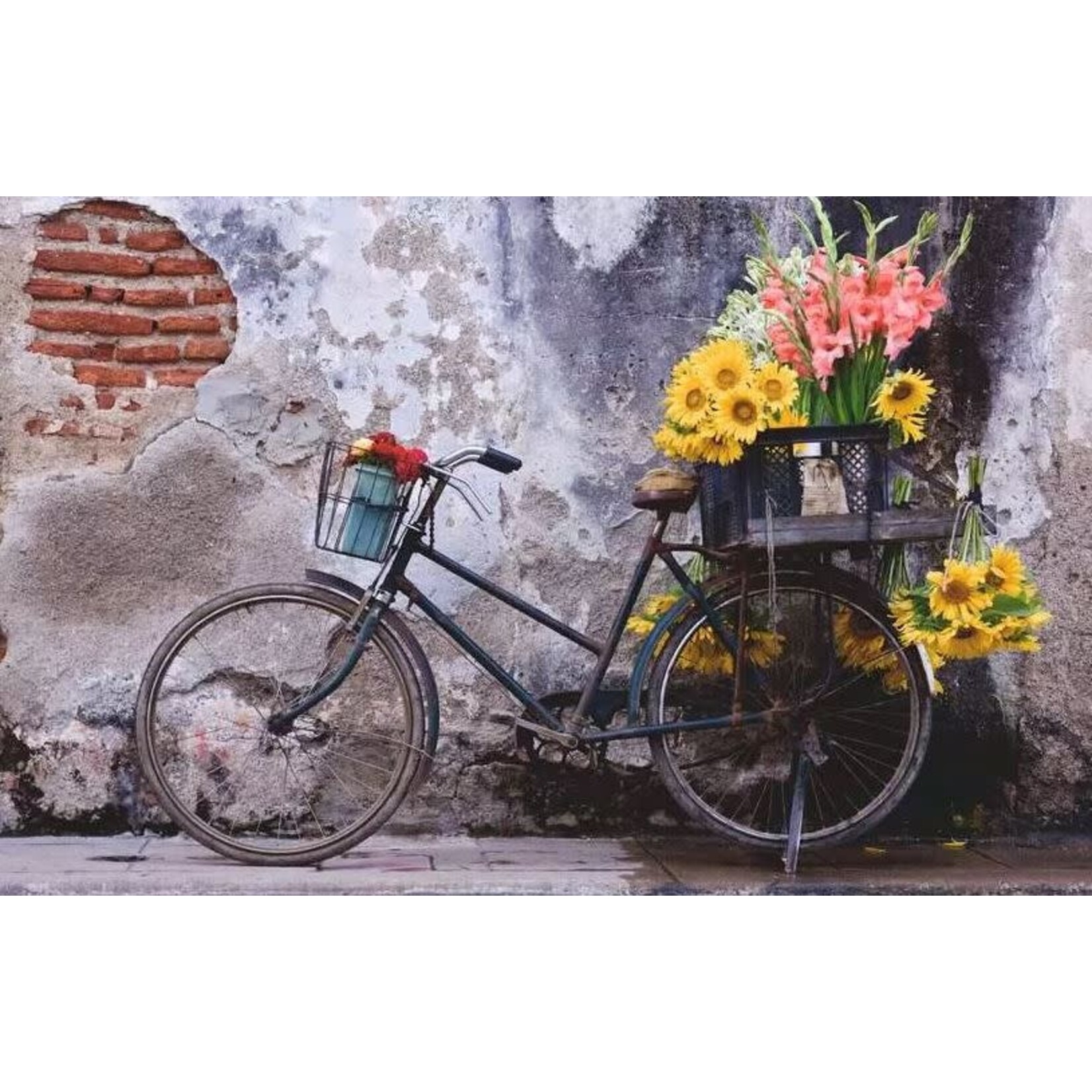 Puzzle Moments: Bicycle 200 Piece Puzzle