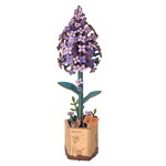 Robotime Bloom Craft: Wooden Lilac Kit