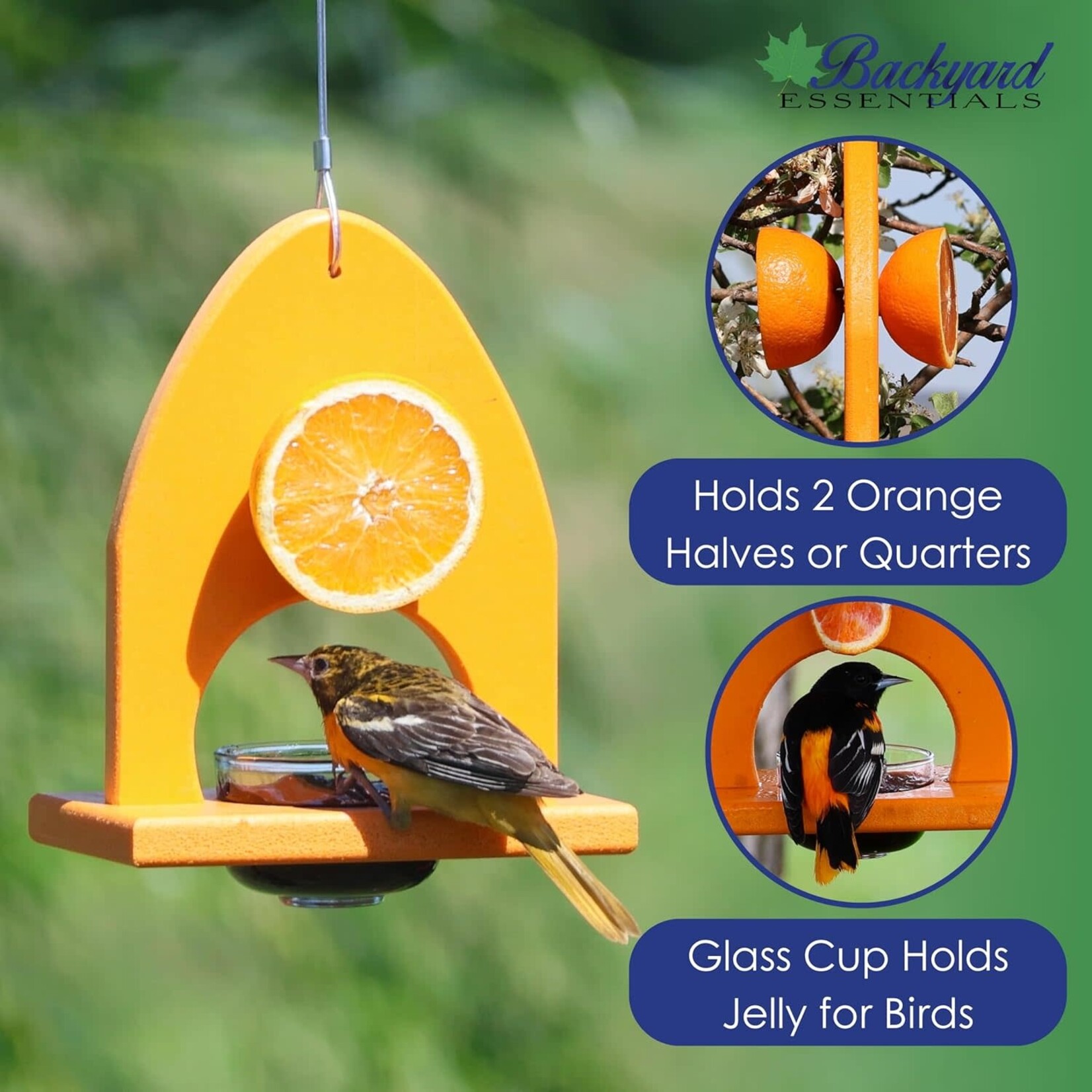 Oriole Delight Buffet Feeder