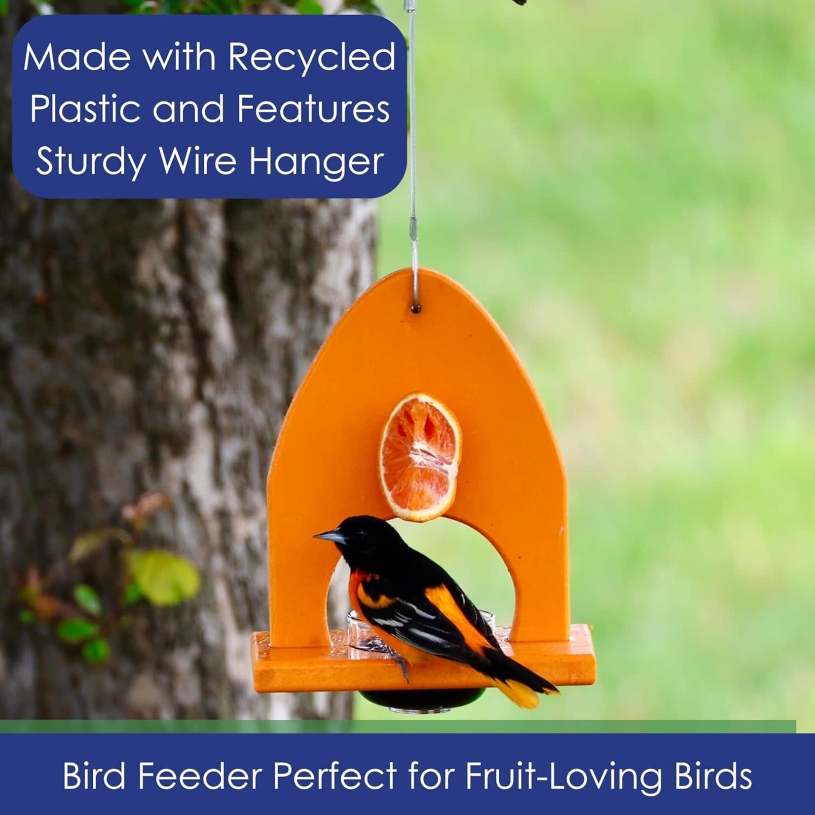 Oriole Delight Buffet Feeder
