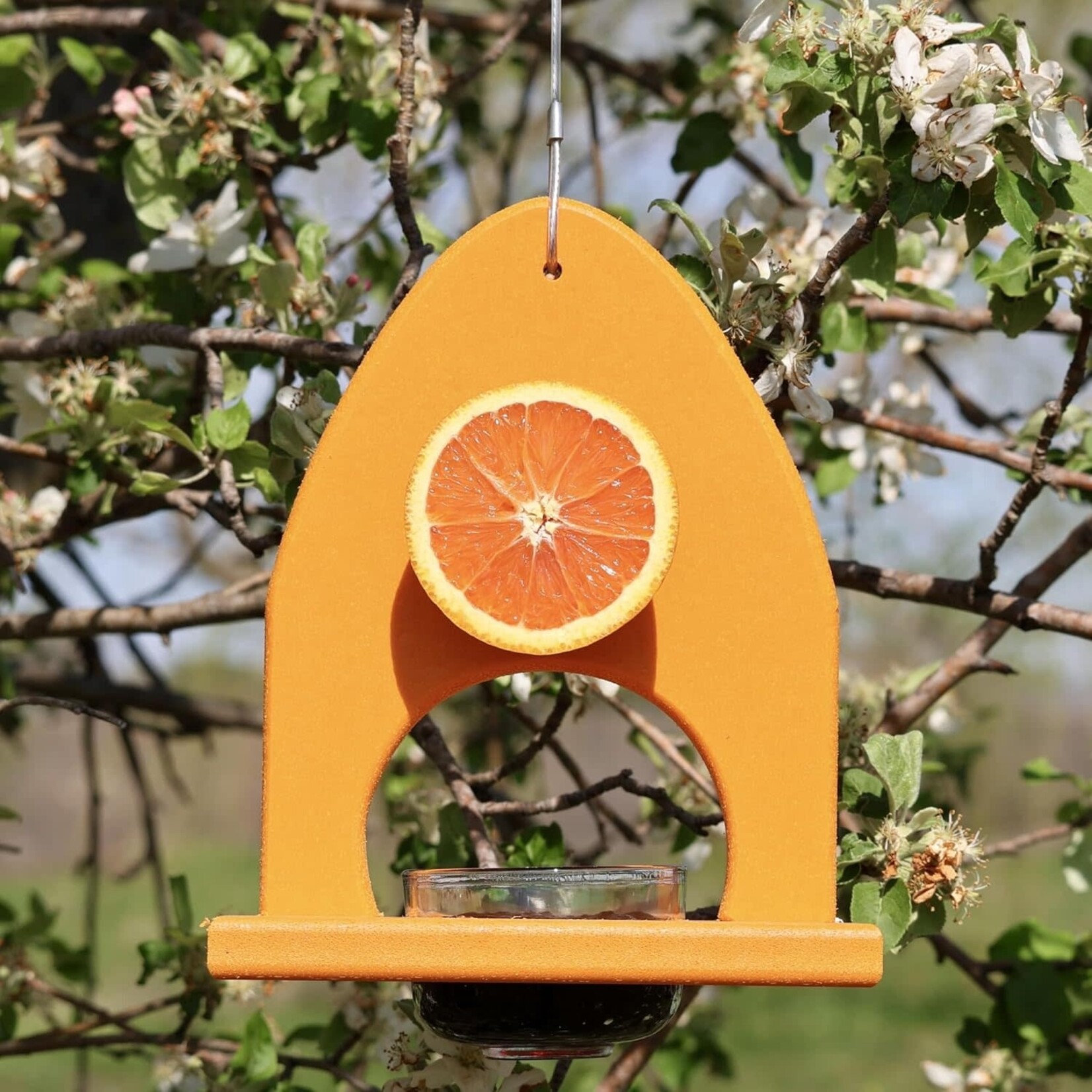 Oriole Delight Buffet Feeder