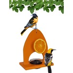 Oriole Delight Buffet Feeder