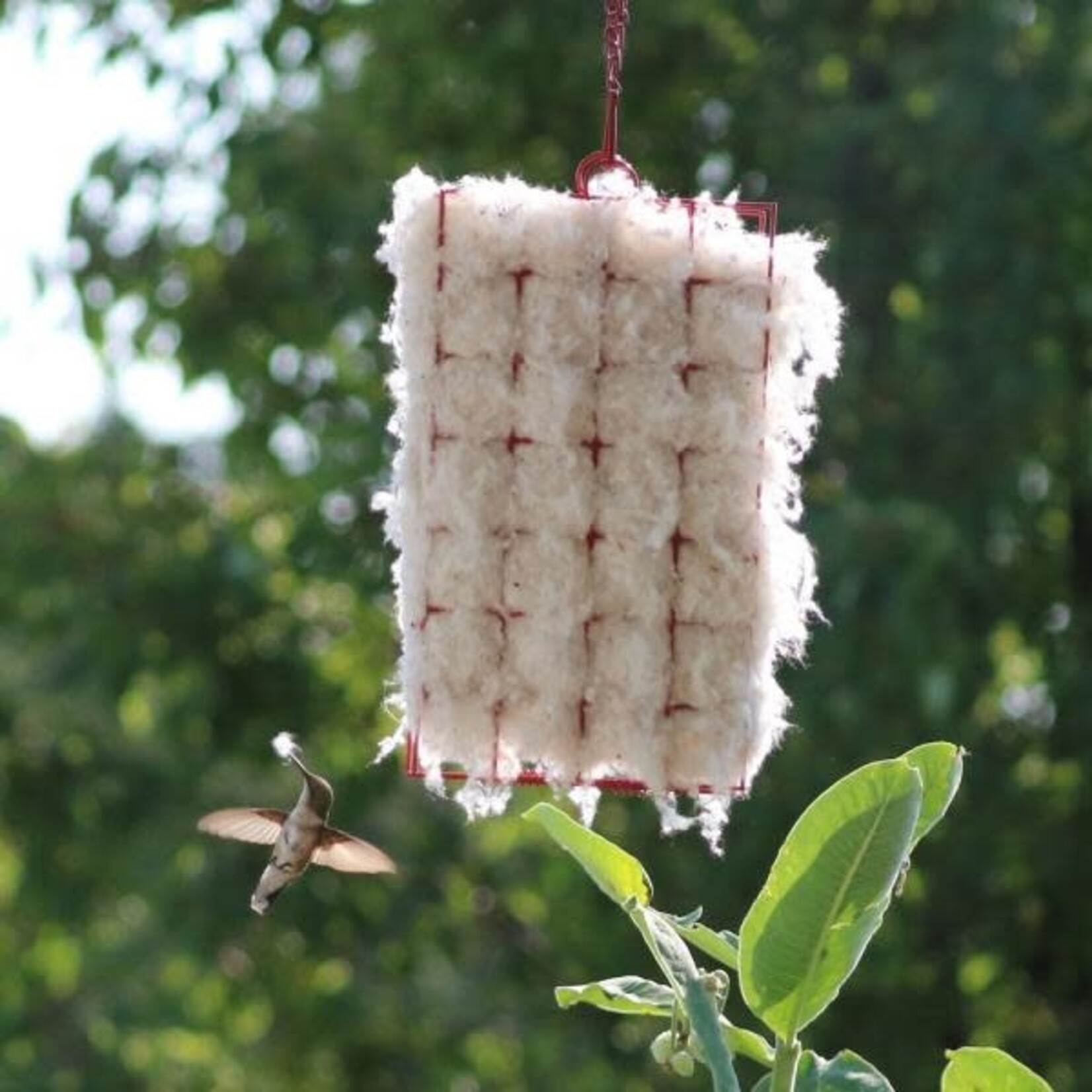 Hummer Helper Cage and Nesting Material
