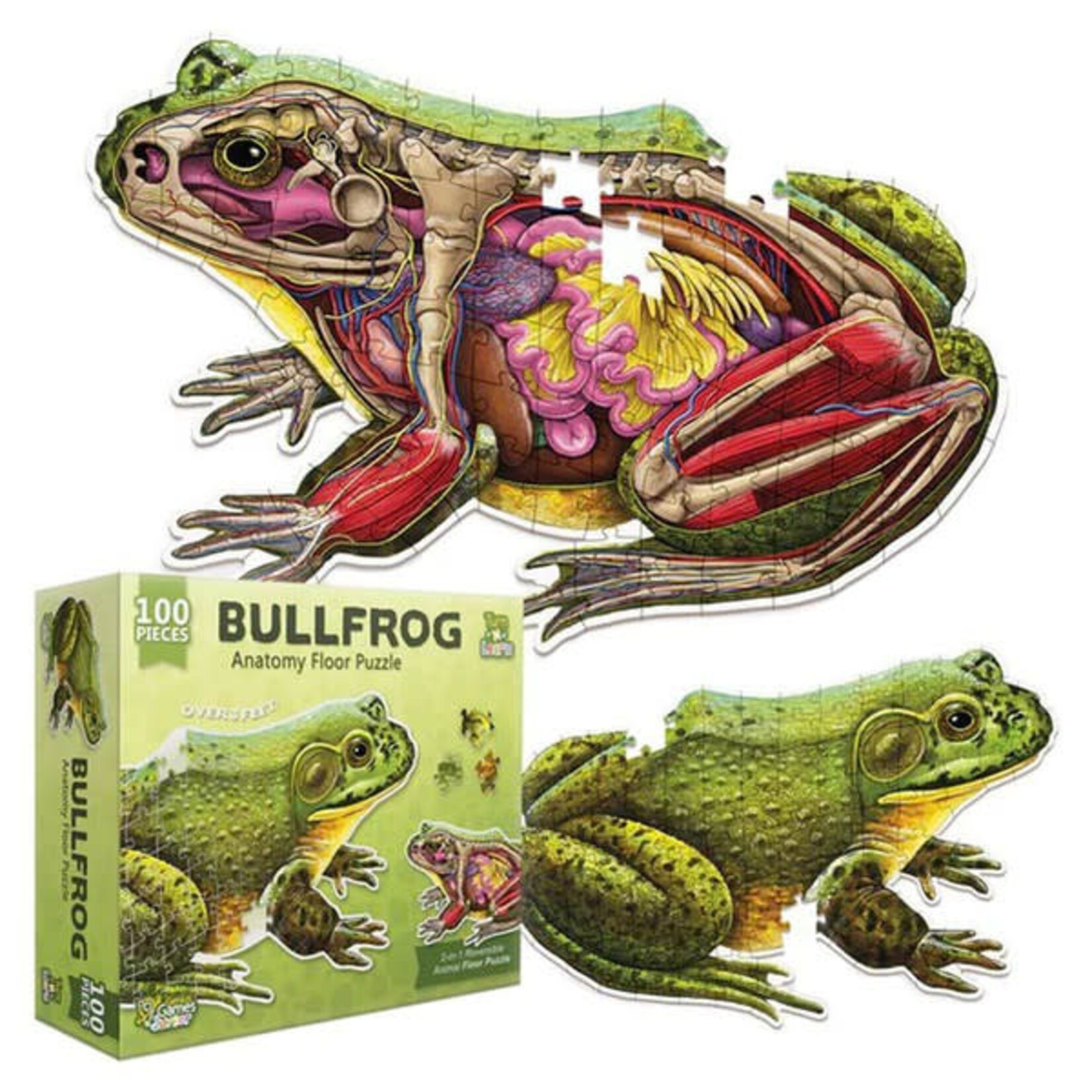 Turn N Learn Frog 100 Piece Puzzle
