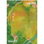 #12032 Wings of War Game Mat (west) Dragon Cache Used Game